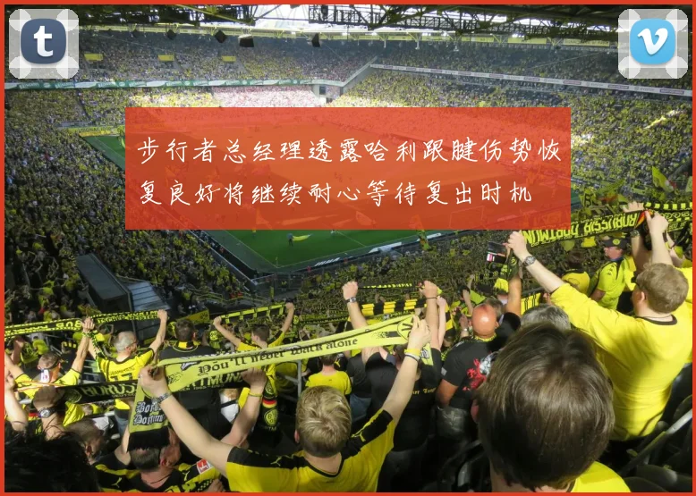 步行者总经理透露哈利跟腱伤势恢复良好将继续耐心等待复出时机