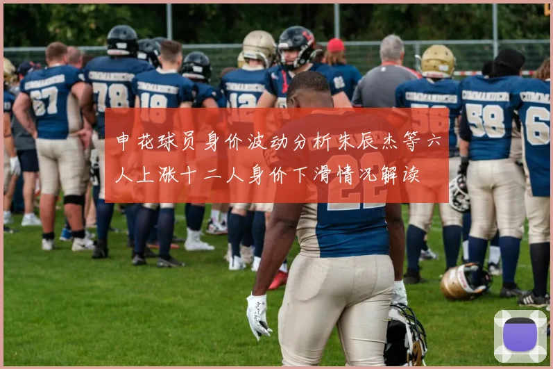 申花球员身价波动分析朱辰杰等六人上涨十二人身价下滑情况解读
